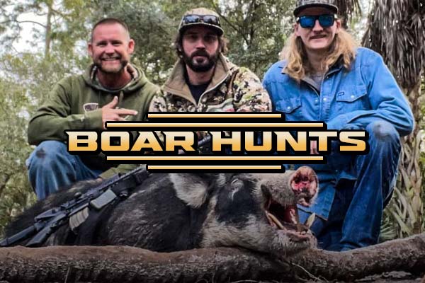 Wild Boar Hunts Wild Boar Hunts With Southern Outdoor Outfitters