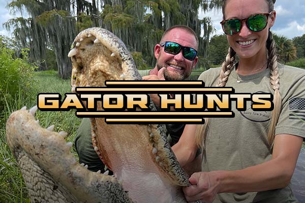 Alligator Hunts Alligator Hunts With Southern Outdoor Outfitters