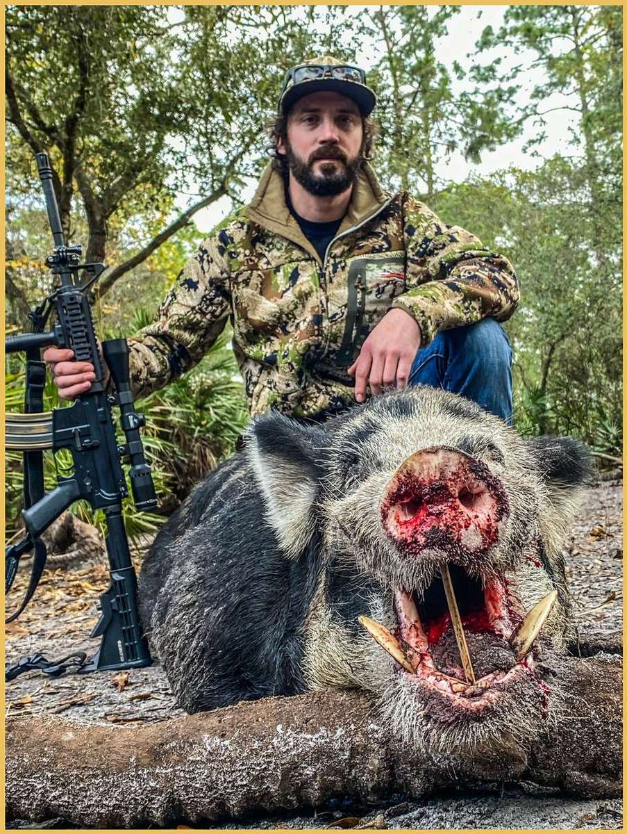 Hog Hunts Hog Hunts in Florida