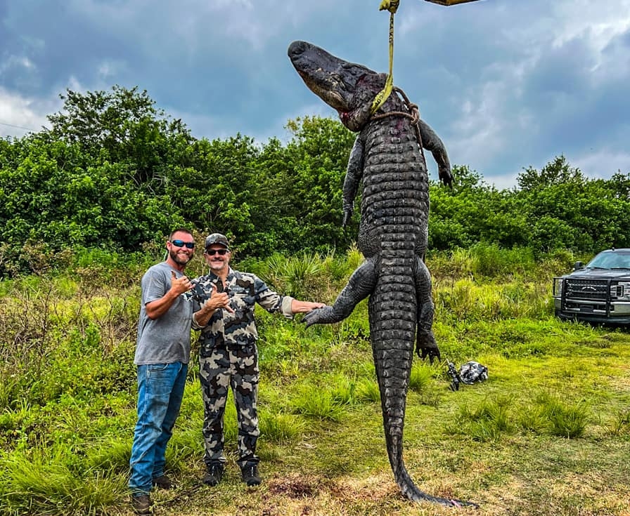 Gator Hunts Alligator Hunting Outfitter