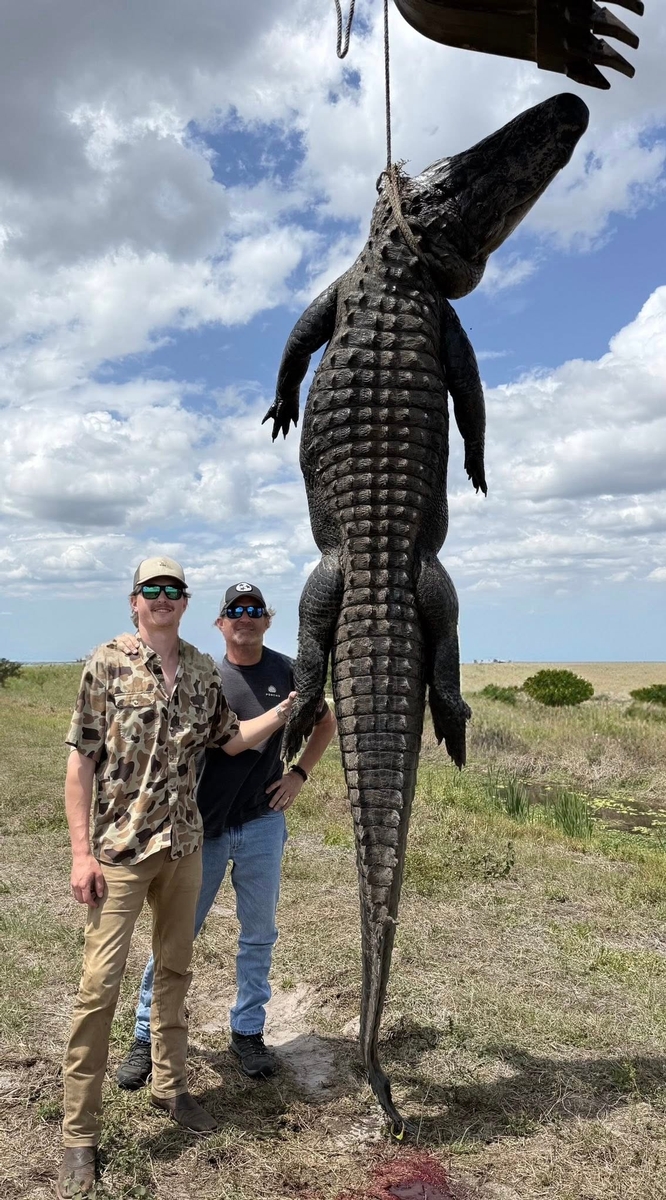 Gator Hunt Rates Two hunters with a trophy alligator in Southwest Florida