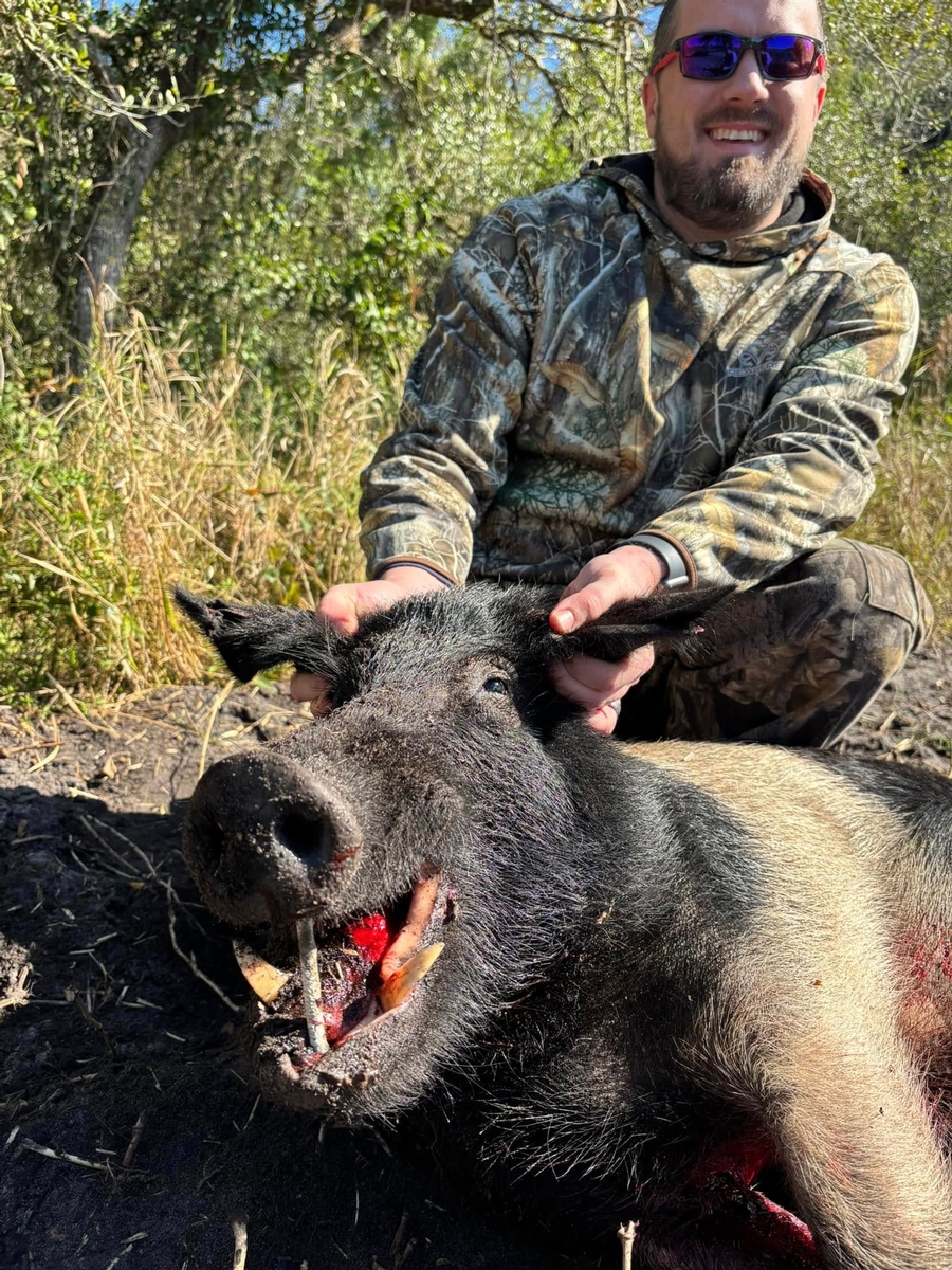 Rates FL Hog Hunts
