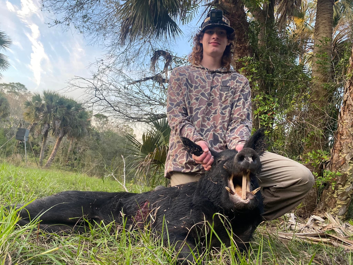 Feeders/Blinds Hog Hunts in Florida